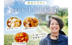 地元産☆農家の無添加レトルト惣菜☆手指キレイ50％オフ